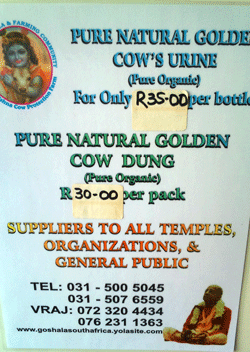 cow-dung-and-cow-urine